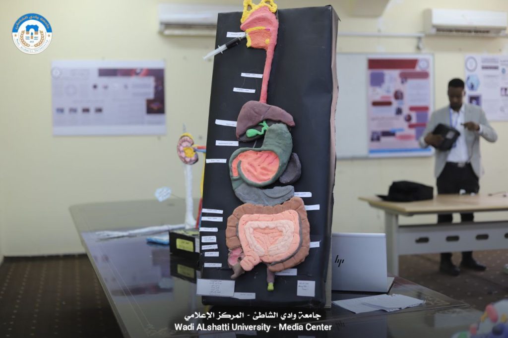 الاحتفال باليوم العالمي للهندسة الطبية