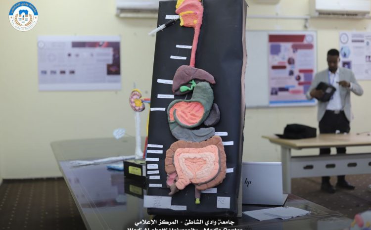  الاحتفال باليوم العالمي للهندسة الطبية